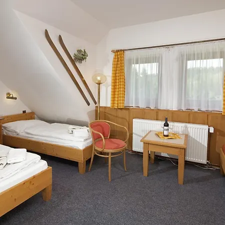 Pensionat U Srenku 3*